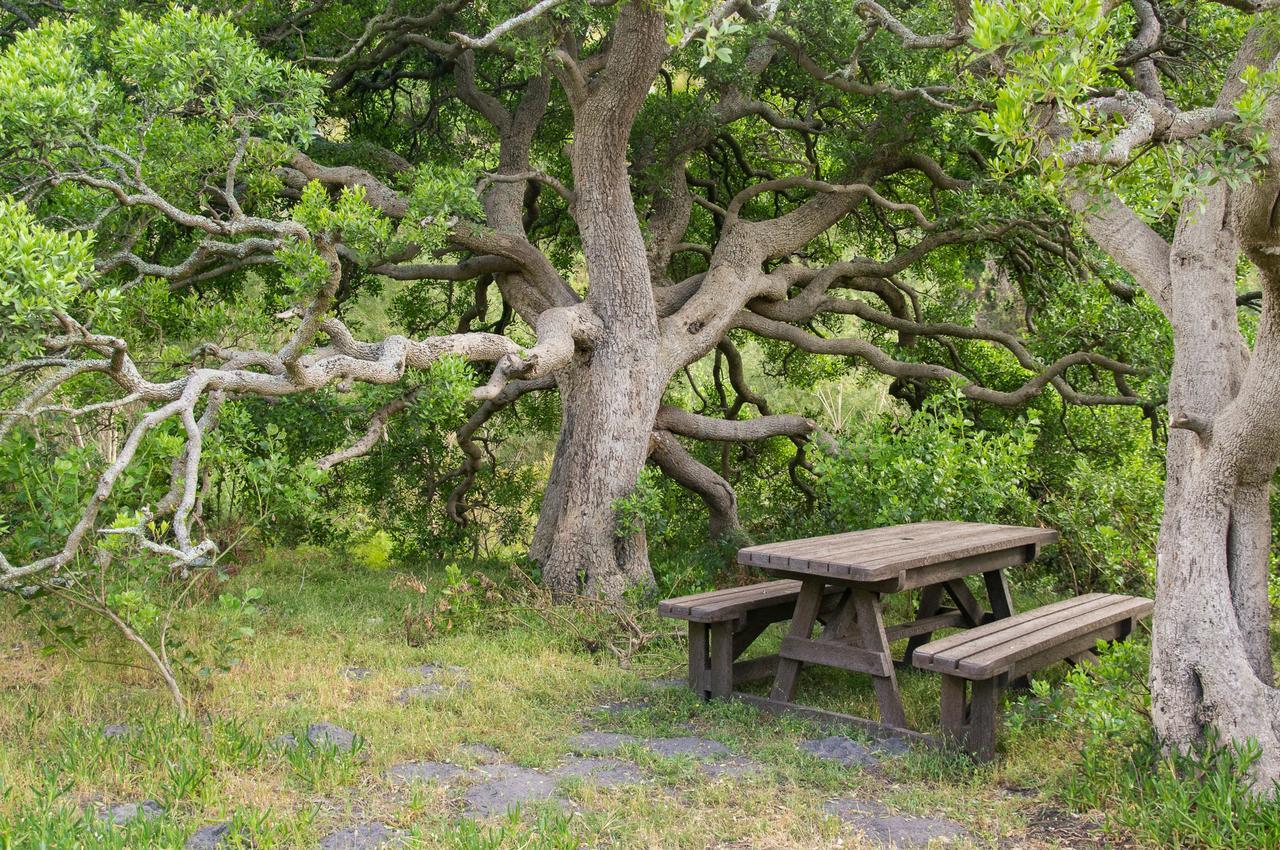 Phillipskop Mountain Reserve 斯坦福 外观 照片